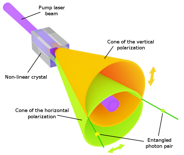 https://commons.wikimedia.org/wiki/File:Spdc_II_3D_model_EN.svg