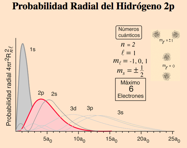 Primeras funciones radiales atómicas en átomo hidrogenoide