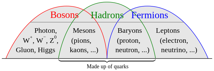 Bosones, hadrones, fermiones, quarks