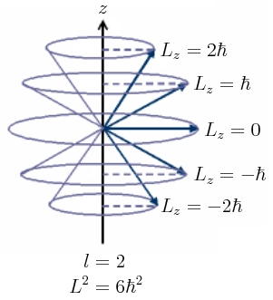 Proyecciones para la precesión de un momento angular orbital l=2 