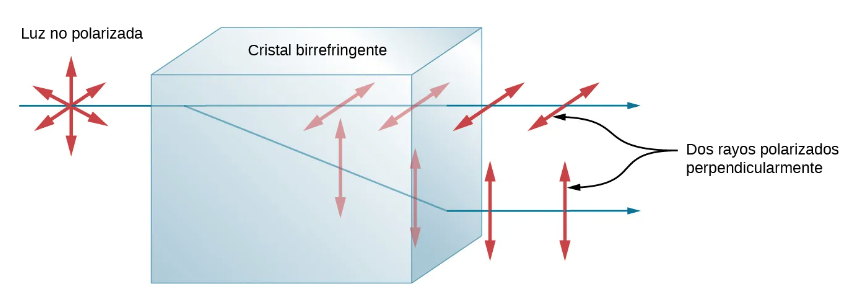 Luz despolarizada y su polarización al atravesar un cristal de calcita.